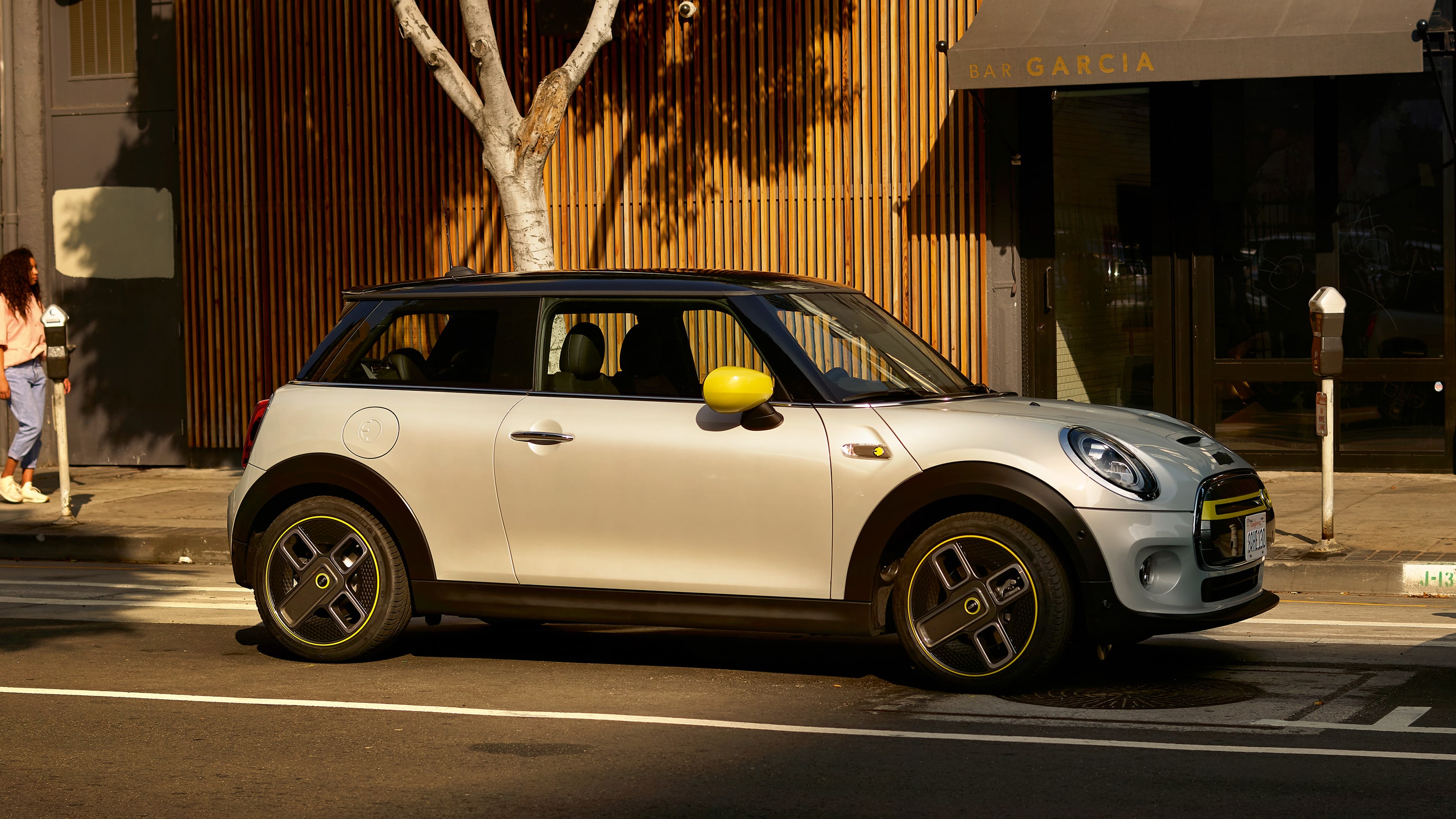 THE ALL ELECTRIC MINI