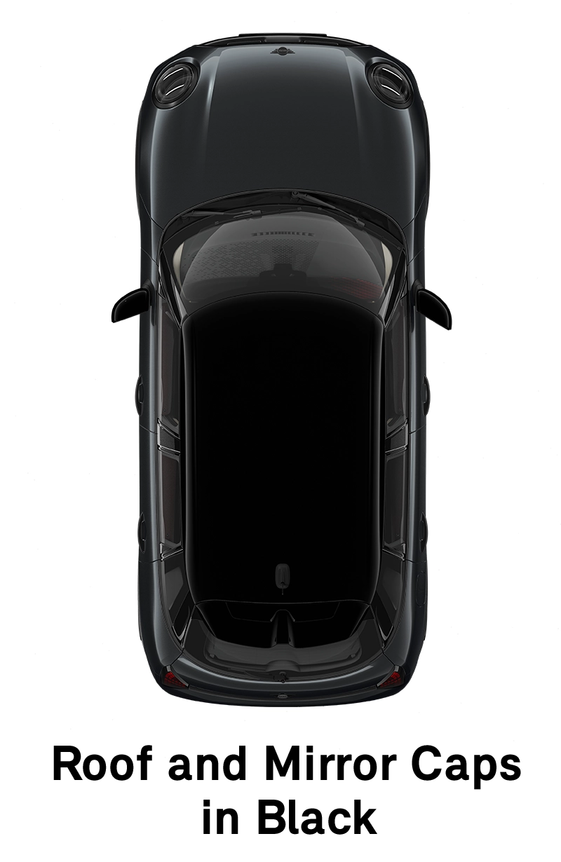  MINI - equipment - sport style roof and mirror caps black