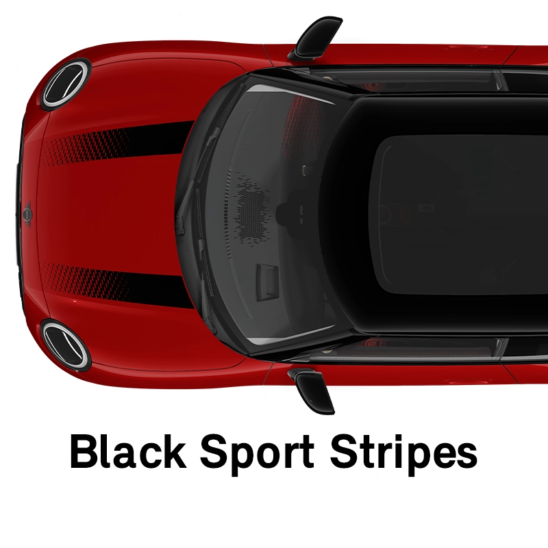  MINI - equipment - sport style black sport stripes