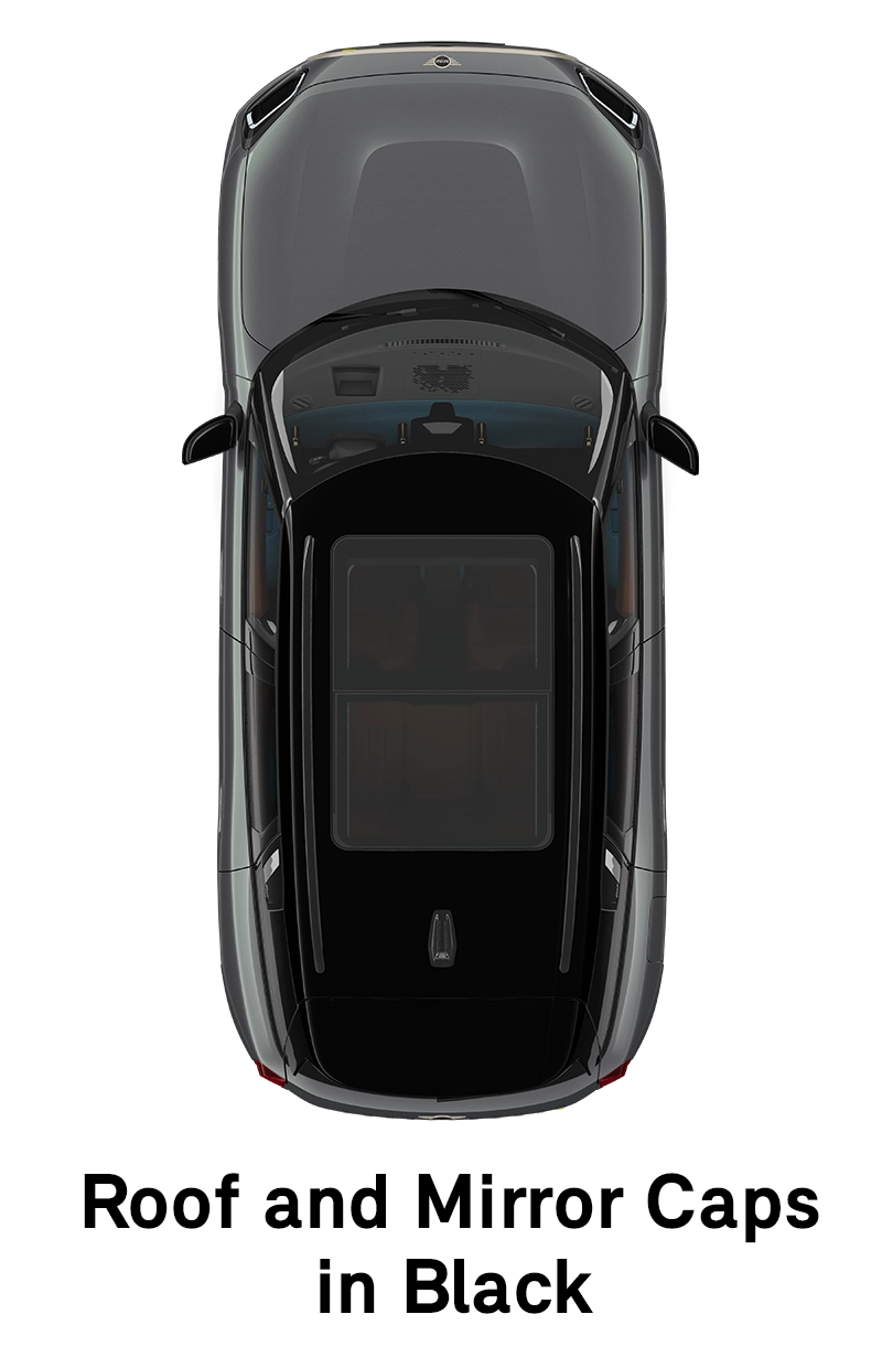  MINI - equipment - favoured style roof in black