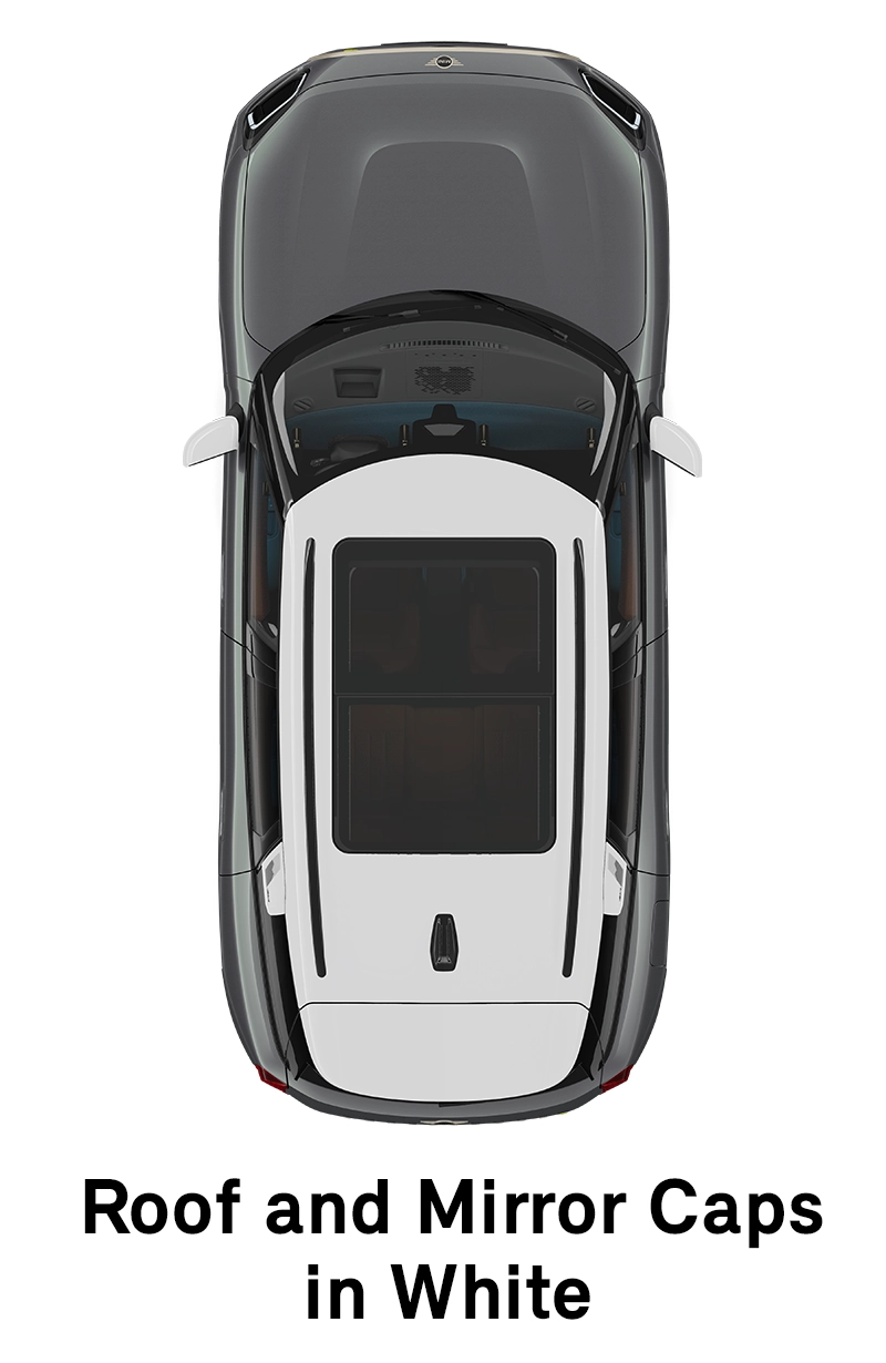  MINI - equipment - favoured style roof and mirror caps in white