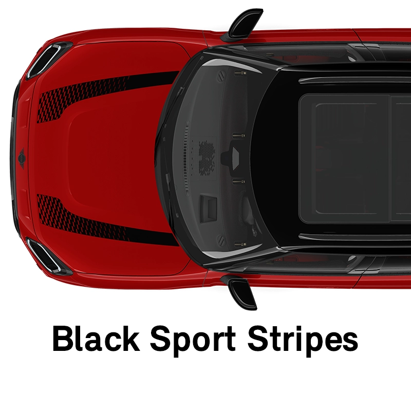  MINI - equipment - jcw style black sport stripes