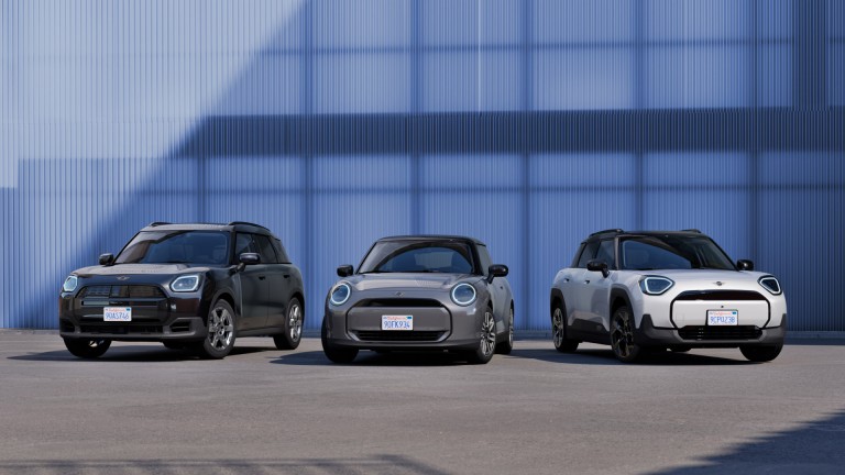 MINI family