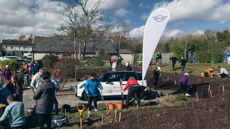 Group of people planting trees